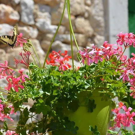Grosses Mit Eigenem Pool Und Terrasse * Crikvenica